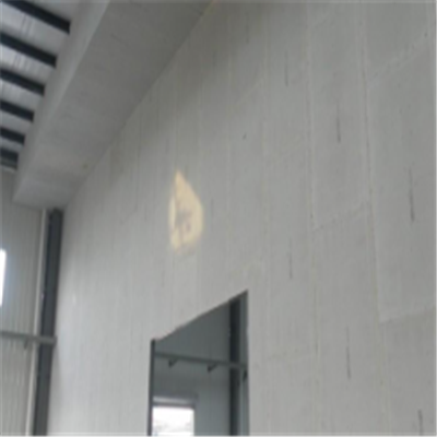 临桂宁波ALC板|EPS加气板隔墙与混凝土整浇联接的实验研讨